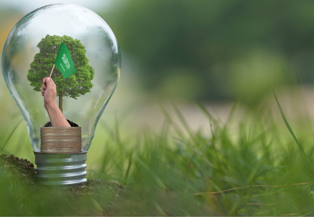 Environmental Law in Saudi Arabia